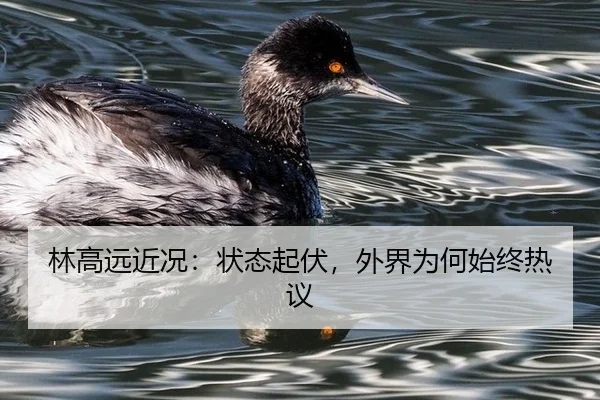lin-gao-yuan-jin-kuang-zhuang-tai-qi-fu-wai-jie-wei-he-shi-zhong-re-yi-2-358.jpg